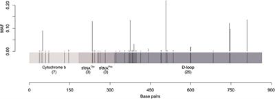 Mitochondrial Sequence Variation, Haplotype Diversity, and Relationships Among Dromedary Camel-Types